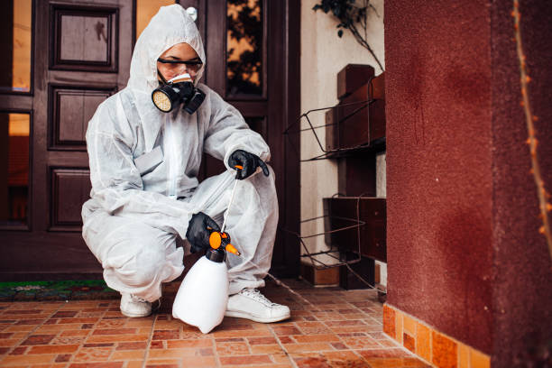 Attic and Crawl Space Rodent Treatment in Big Bear City